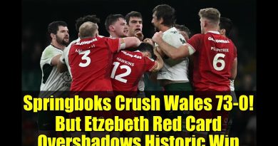 Les Springboks écrasent le pays de Galles 73-0, Etzebeth expulsé !