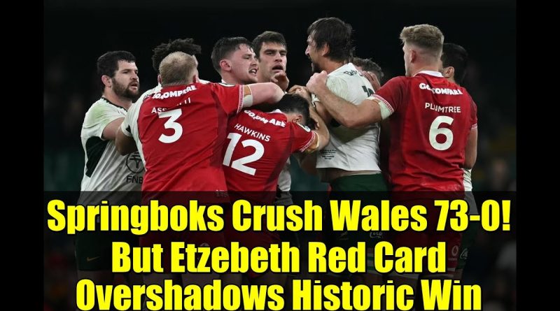 Les Springboks écrasent le pays de Galles 73-0, Etzebeth expulsé !