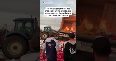 Les agriculteurs français en colère : un cri d’alarme face à la crise Les agriculteurs français manifestent contre leurs conditions de travail