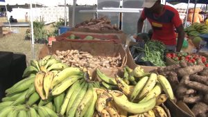 Les agriculteurs résistent malgré des pluies inférieures à la normale