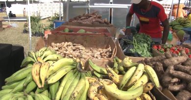 Les agriculteurs résistent malgré des pluies inférieures à la normale