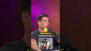 Les enseignements d'histoire en France