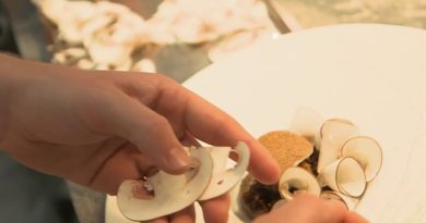 Les grands chefs valorisent la cuisine locale