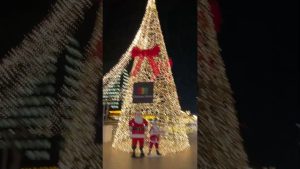 Les illuminations à Kokura sont époustouflantes !