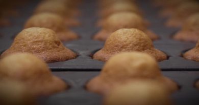 Les madeleines Jeannette : l'histoire d'un homme derrière cette gourmandise de 175 ans