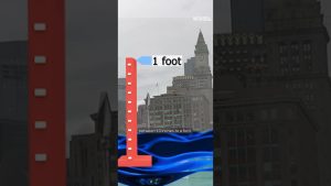 Les marées royales : experts en résilience côtière