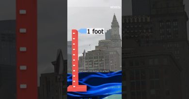 Les marées royales : experts en résilience côtière