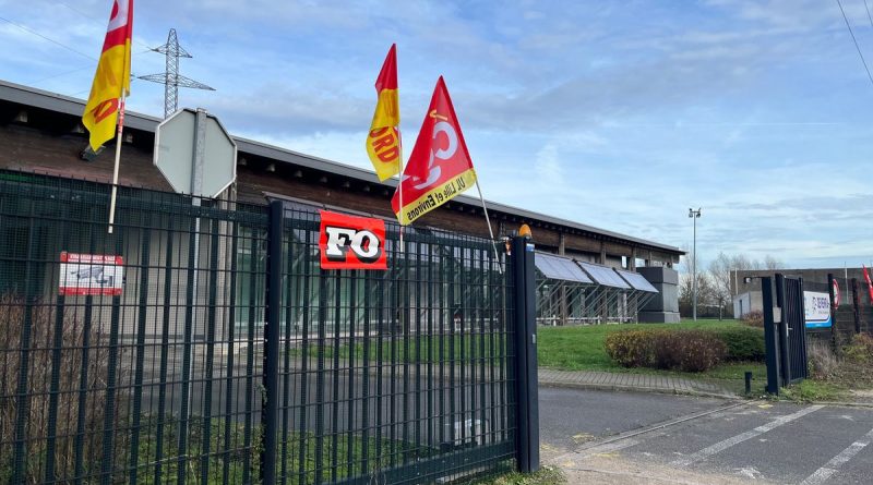 illustration agrandir l