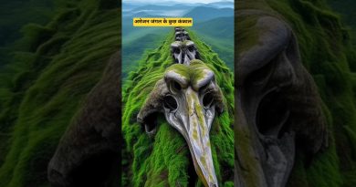 Les mystérieux squelettes découverts dans la jungle amazonienne