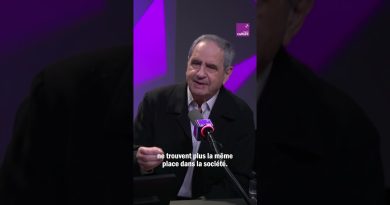 Les partis politiques : l'analyse de Pierre Rosanvallon