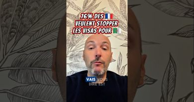 Les sondages de Bolloré : influence sur l'opinion algérienne