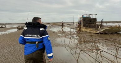 illustration agrandir l