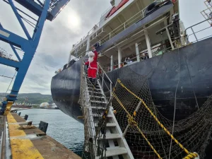 Letchis, visites et échanges : Noël solidaire pour les marins du port réunionnais