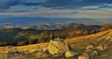 L’histoire du Grand Sud, de Bordeaux aux Pyrénées en passant par Nîmes, les Cévennes et Montpellier, expliquée dans un beau livre