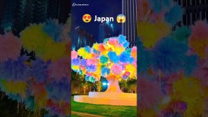 🌍 Lieux sur Terre qui semblent irréels 😱 #nature #voyage