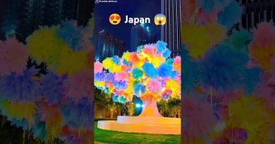 🌍 Lieux sur Terre qui semblent irréels 😱 #nature #voyage