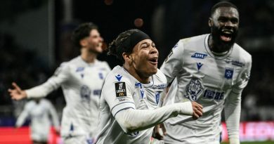 illustration agrandir l