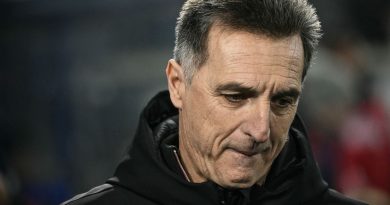 illustration agrandir l