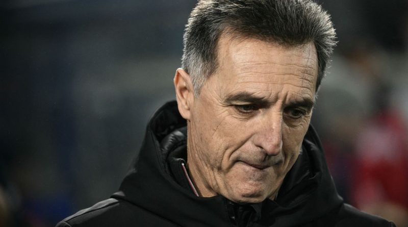 illustration agrandir l