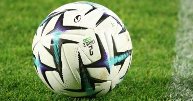 illustration agrandir l