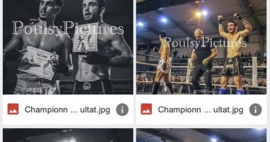 Ligue Corse de Kick Boxing, Muay Thaï et autres disciplines de combat