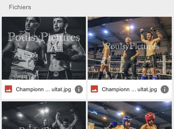 Ligue Corse de Kick Boxing, Muay Thaï et autres disciplines de combat