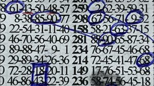 Loto National : 19 tirages en direct et 66 résultats révélés