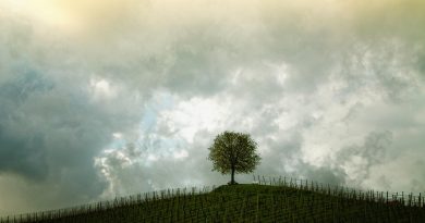 Occitanie, Toulouse, Montpellier, landscape, sea, mountain, vineyard, canal