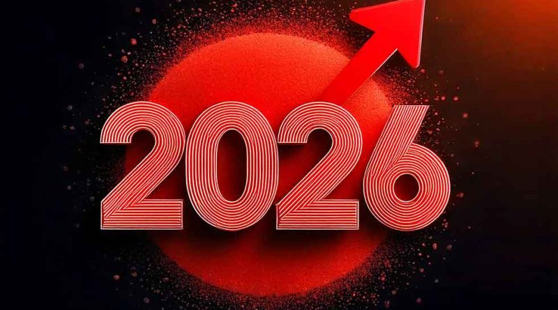 Kalli Graphic - Flora Ambrosini - Graphiste Corse