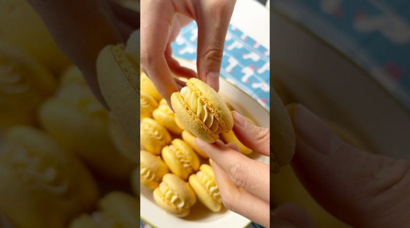 Macarons au Citron : Délices Acidulés à Déguster ! 🍋