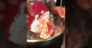 Macarons : maîtrisez l'art du macaronage