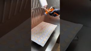 Macarons salés pour l'apéro chez Pâtisserie Sève !