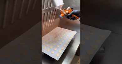 Macarons salés pour l'apéro chez Pâtisserie Sève !