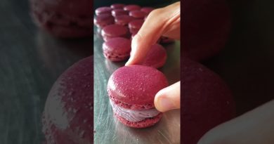 Macarons vanille : délices estivaux aux fruits 🍓🍇