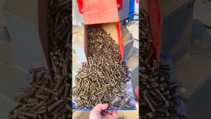 Machine à pellets en bois : ligne de production biomasse