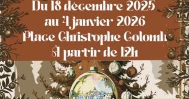 Mairie de Calvi : Informations et services de la Casa Cumuna di Calvi