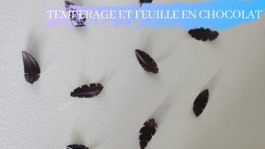 Maîtriser la Température du Chocolat : Astuces et Bonus
