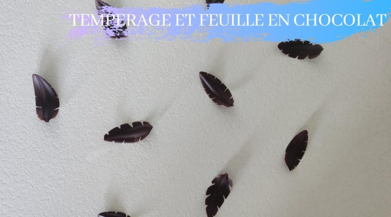 Maîtriser la Température du Chocolat : Astuces et Bonus