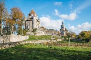 Marathon Médiéval de Seine-et-Marne : une première pleine de découvertes historiques