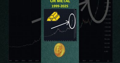 Marchés Crypto : Exagérations et Stratégies pour En Profiter