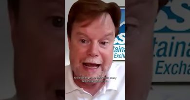 Marchés de carbone volontaires : La chaîne de valeur