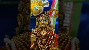 Matériaux Bruts pour Lalan Shringar : Spécial Utsav