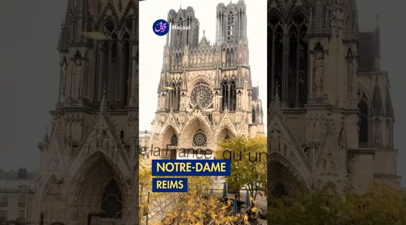Médiathèque Jean Falala : un trésor à Reims 🇫🇷