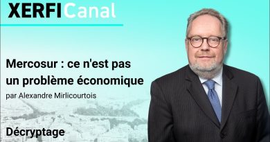 Mercosur : au-delà des enjeux économiques