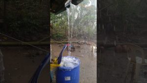 Météo à 16h15 - 3 décembre : Prévisions et alertes