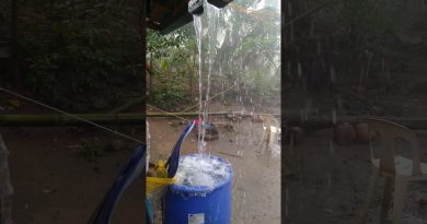 Météo à 16h15 - 3 décembre : Prévisions et alertes