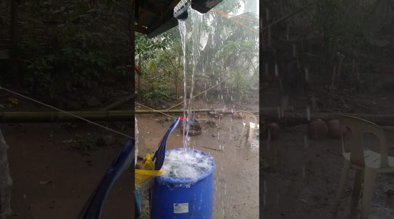 Météo à 16h15 - 3 décembre : Prévisions et alertes