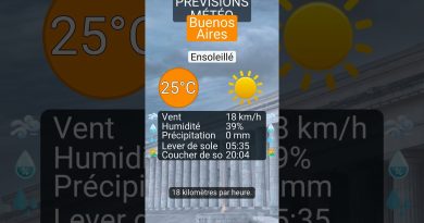 Météo à Buenos Aires : Prévisions du 17 décembre 2025