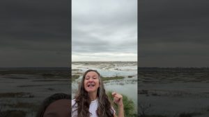 Météo à Sea Island du 5 décembre 2025