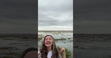 Météo à Sea Island du 5 décembre 2025